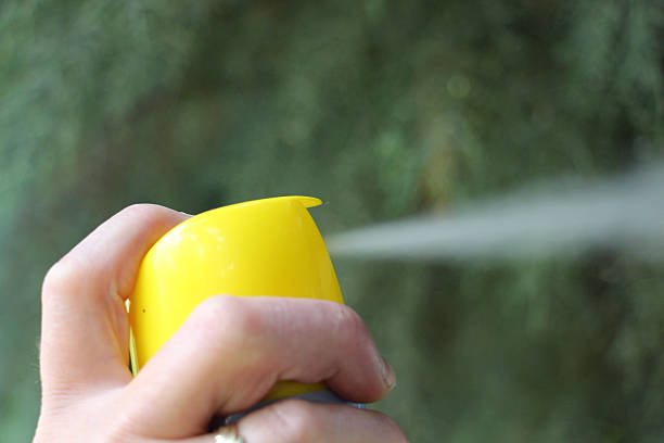 istockphoto-542791356-612x612-1